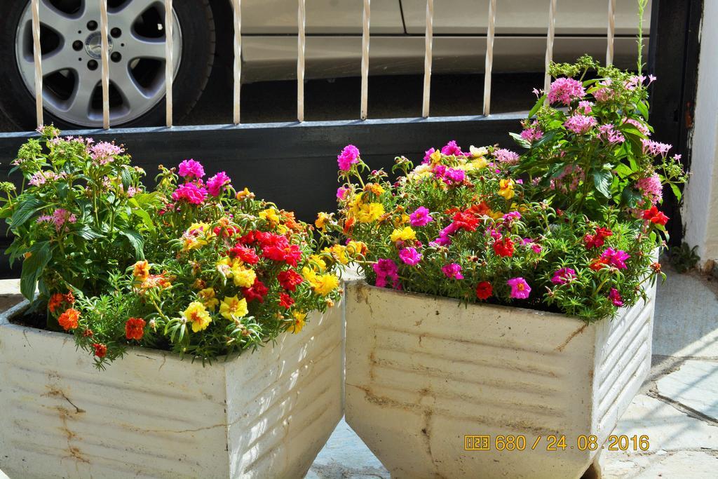 Apartments Dimitra Paralia Dionysiou Dış mekan fotoğraf
