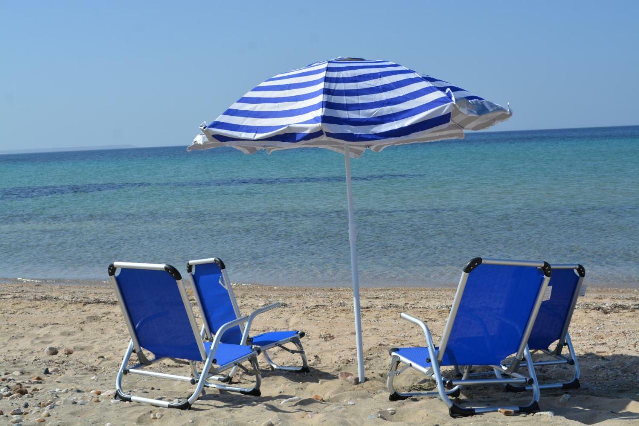 Apartments Dimitra Paralia Dionysiou Dış mekan fotoğraf